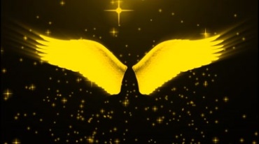 天使金色翅膀