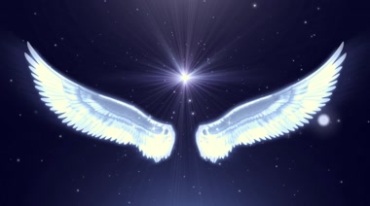 天使翅膀白色羽毛