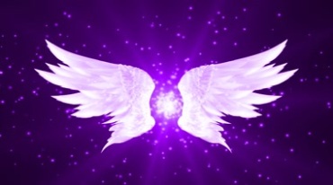 紫色梦幻天使翅膀