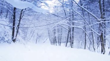 冬天雪景