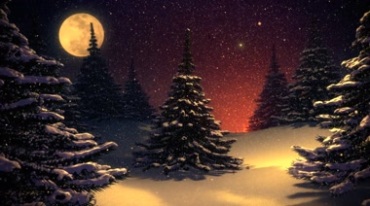 下雪夜圣诞树