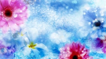 蓝色的雪鲜花
