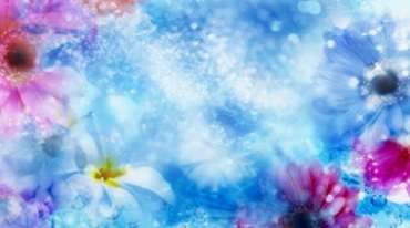 蓝色的雪鲜花